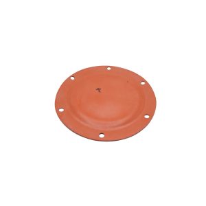 DIAPHRAGM