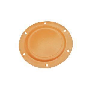DIAPHRAGM