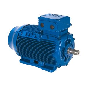 ELECTRIC MOTOR