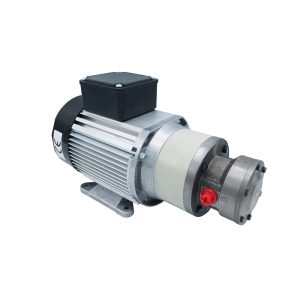 ELECTRIC MOTOR