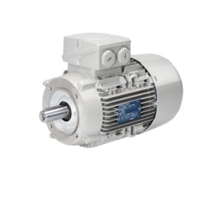 ELECTRIC MOTOR 0.55 KW