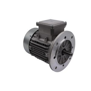 ELECTRIC MOTOR 0.75 KW