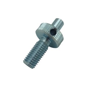 SCREW M10