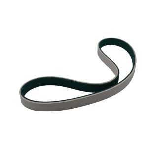 FEEDER BELT FDA VERSION