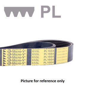 POLY-V-BELT