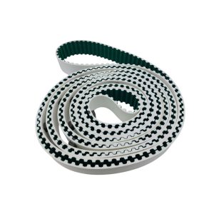 TOOTHED BELT EQUIPED