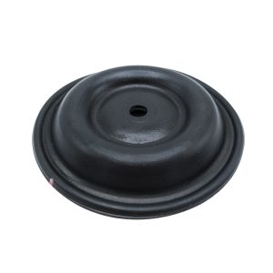 DIAPHRAGM