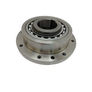 FREEWHEEL CLUTCH